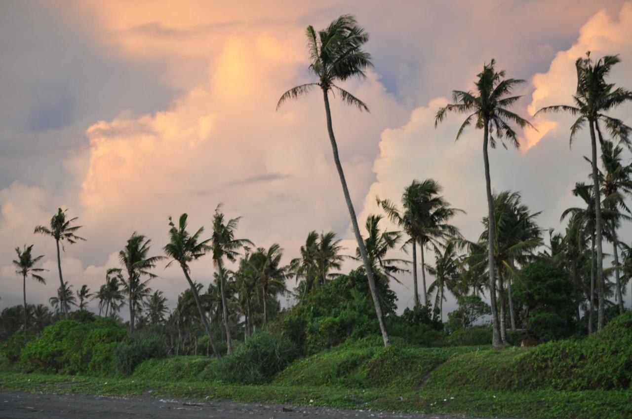 Seaside Tribe - Boutique Surf Stay & Retreat Tanah Lot Esterno foto